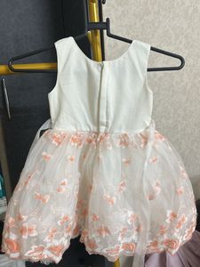 Net Embroidery Frock