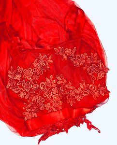 Beautiful Red Party Dress