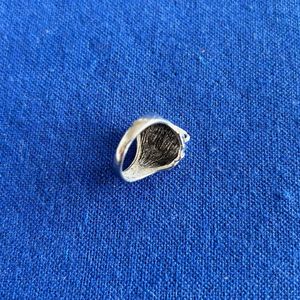 Lion Ring!