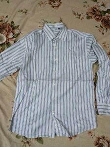 Striped Shirt