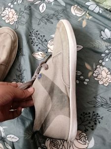 CANVAS Shoes By UCB.