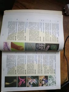 Invertebrate Zoology By EL JORDAN AND PS VERMA