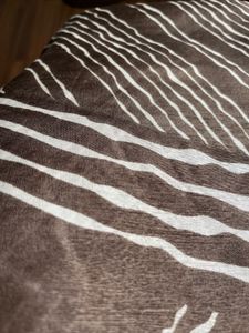 Brown Printed Saree
