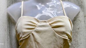 Elegant Crop Top