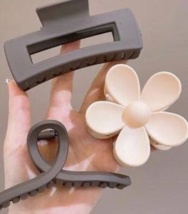 Hair Clip Bundle combo of 5 clutches
