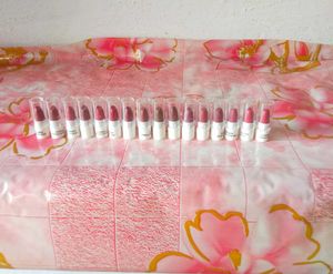 Just Herbs Lipstick Kit