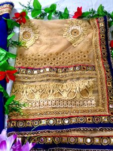 Lehnga Style  Designer Saree