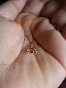 Parrot Desine Nose Pin Gold