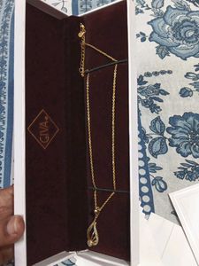 🆕 Giva Chain 🌼