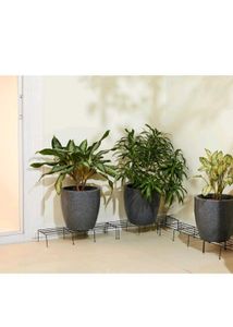 set of 3 plant stand (Metal)