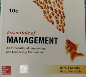 Essentials of Management 10th Edition