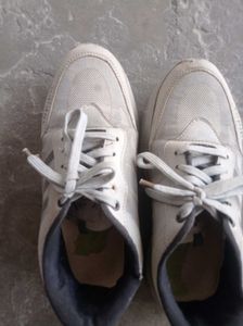 Adidas Sneakers