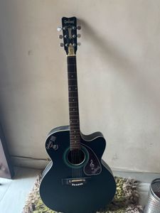Acoustic Guitar