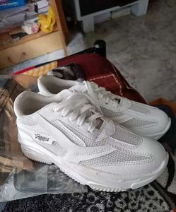 Roadster Sports Shoes For Women