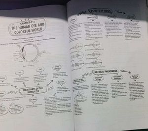 Class X Objective MCQ All in One