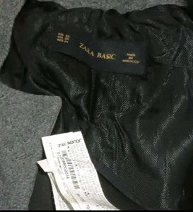 Zara Winter Formal Coat