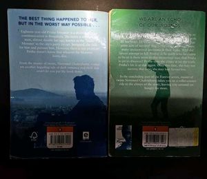 Novel