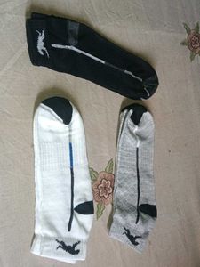 Whippet Sport Ankle Socks