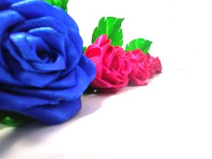 Pink Rose
