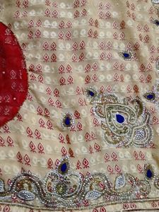 Elegant Embellished Sari