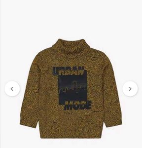 3 To 4 Year Kids Sweatshirt With Hoodie