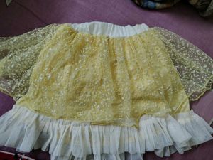 Brand New Designer Skirt For 2-3 Year Girl