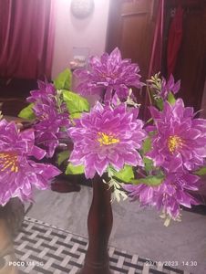 Flowers Pot
