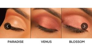 Renee FAB 3 in 1 Eye Shadow