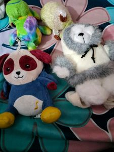 Toy 🧸🧸