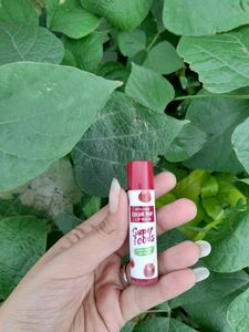 Combo Of 2 Pigmented Lipbalms