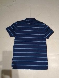 Striped Polo T-Shirt
