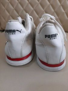 BMW Puma Roma Shoes