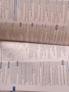 English Dictionary