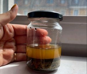 Ayurvedic Kalonji &amp; Fenugreek Hair Oil