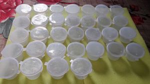 32 Small Plastic Containers with Lids