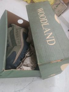 Wood Land Brand New Shoes