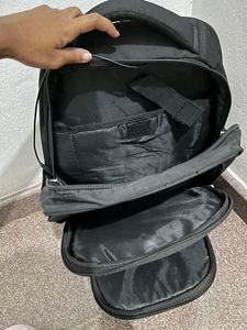 Flamingo&#39;s College/office Backpack