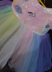 Sparkly Rainbow Butterfly Dress