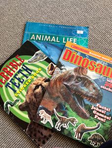 Kids Animal Book Set