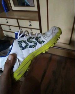 ⭐ DSC Cricket Shoes – Excellent Condition ⭐