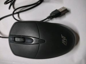 Computer Mouse