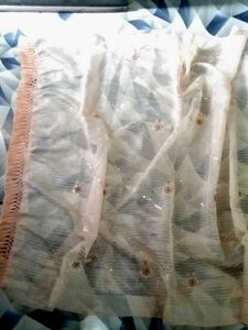 Beautiful Organza Fabric Saree