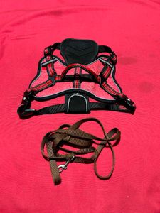 Dog Harness with Leash – Size L
