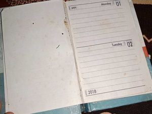 Classic Diary(2018)