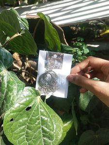 Silver Jhumka Earrings