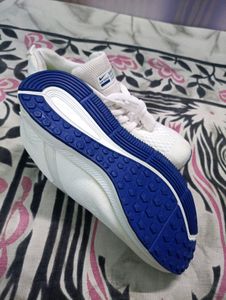 Mens shoe at best Price