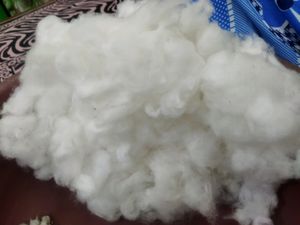 Pure Cotton