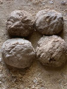 Village Cow Dunk Cake