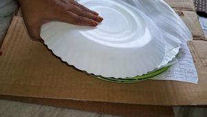 6pc Borosil Opla Dinner Plats