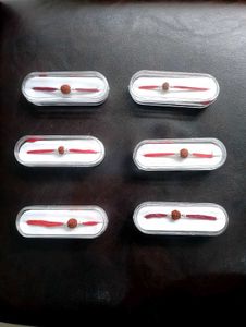 Pure Silver Rudraksh Rakhi ( Pack Of 6)